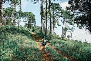 BIB: 
                            <button type="button" onclick="openModal(25677551)" class="btn btn-primary btn-sm float-right btn-popup" data-toggle="modal" data-target=".modal-high-quality">
                        <i class="fas fa-shopping-cart"></i> Add to Cart
                    </button>
                                            <button type="button" onclick="isThisMe(25677551, true)" class="btn btn-success btn-sm float-right btn-popup btn-isme hidden" data-toggle="tooltip" data-placement="bottom" title="นี่คือรูปของคุณใช่ไหม คลิกที่นี่เพื่อเอาเข้าอัลบั้ม">
                        <i class="fas fa-plus"></i> Add to album
                    </button>
                    <button type="button" onclick="isThisMe(25677551, false)" class="btn btn-warning btn-sm float-right btn-popup btn-isnotme hidden">
                        <i class="fas fa-ban"></i> Remove from album
                    </button>